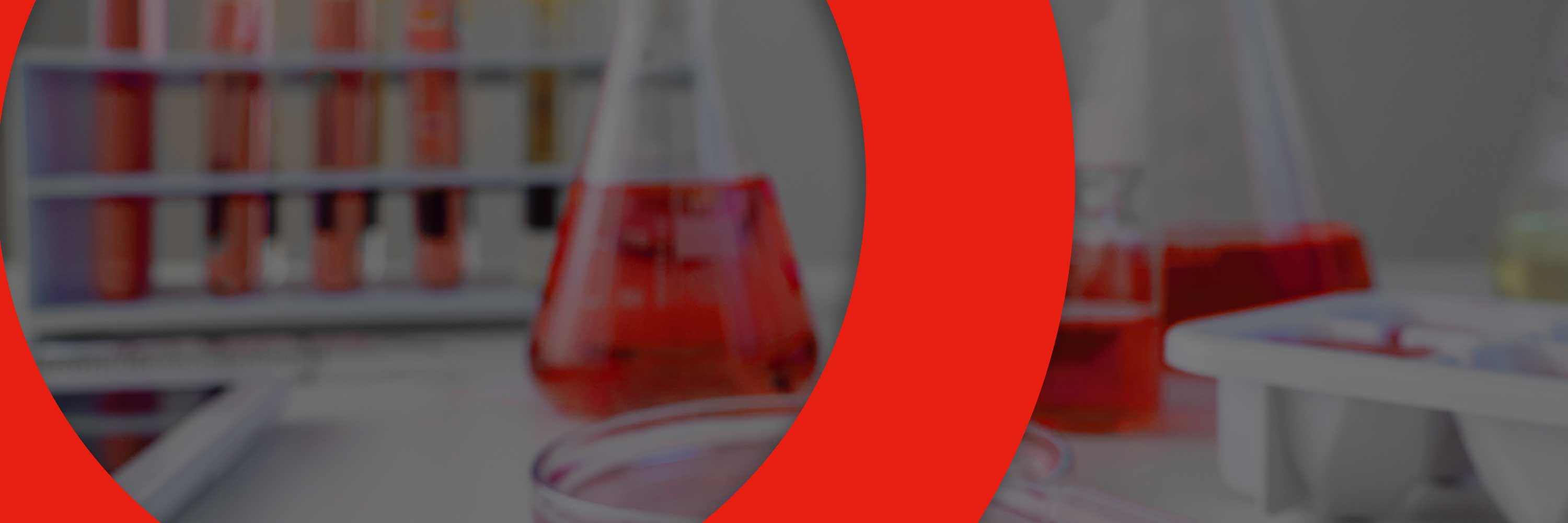 Excelência no Fornecimento e Distribuição de Medicamentos